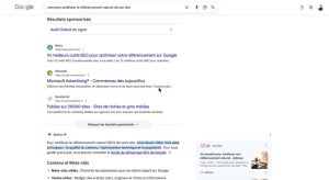 Requête « comment améliorer le référencement naturel » : les annonces s'affichent au-dessus de l'Aperçu IA sur Google France